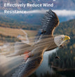 RC Eagle For Kids Trendy zone